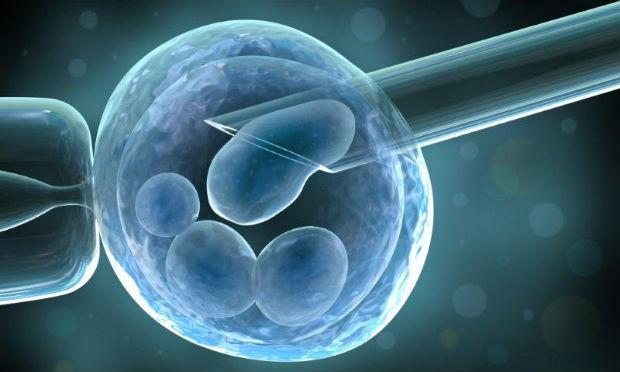 Por causa da norma, vigente em muitos países, os cientistas destruíram os embriões no 13º dia de cultivo / Foto: Reprodução