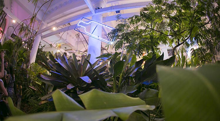 Plantas utilizadas na instalação do Absolut Bar serão doadas ao Jardim Botânico do Recife.