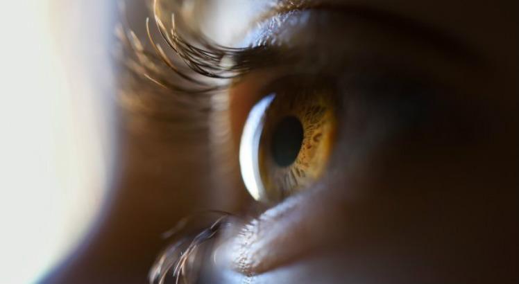 A maioria dos casos de conjuntivite tóxica no verão ocorre acidentalmente pelo contato de protetores solares e bronzeadores nos olhos (Foto: Freepik/Banco de Imagens)
