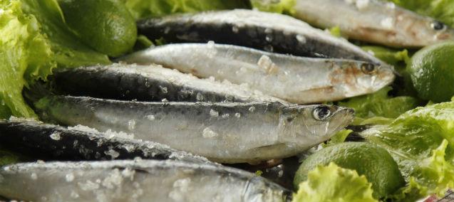 Saiba como deixar a sardinha macia e deliciosa