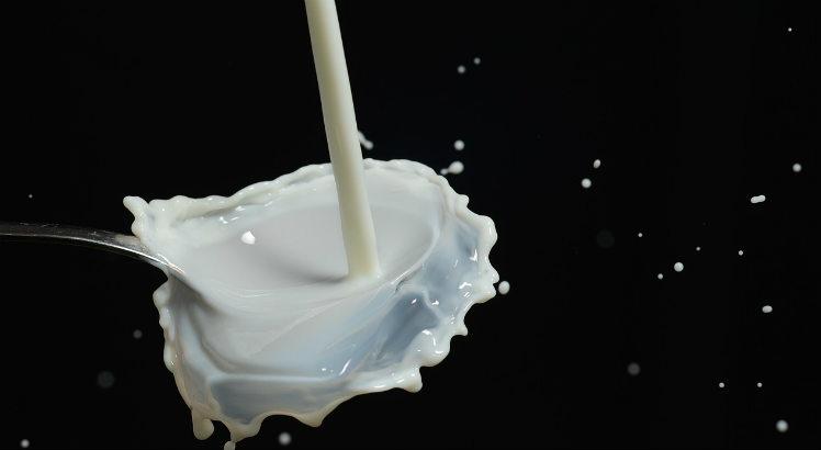 Entre os mais conhecidos tipos de leite no mercado, estão o integral, o desnatado e o semi-desnatado! Saiba qual deles é o mais indicado para usar nas receitas! (Foto ilustrativa: Pixabay)