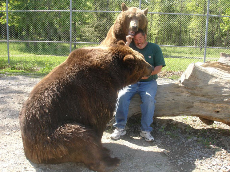 Ursos se tornaram os melhores amigos do casal. Foto: Reprodução/Facebook
