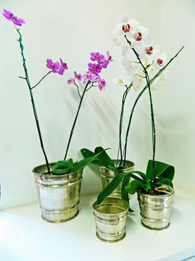 BRILHO | Cachepots de metal para valorizar a flor, da Jardinaria