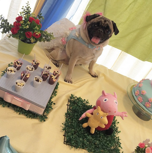 Megan ganhou uma festinha comemorando 2 anos de idade com o tema da Peppa Pig
