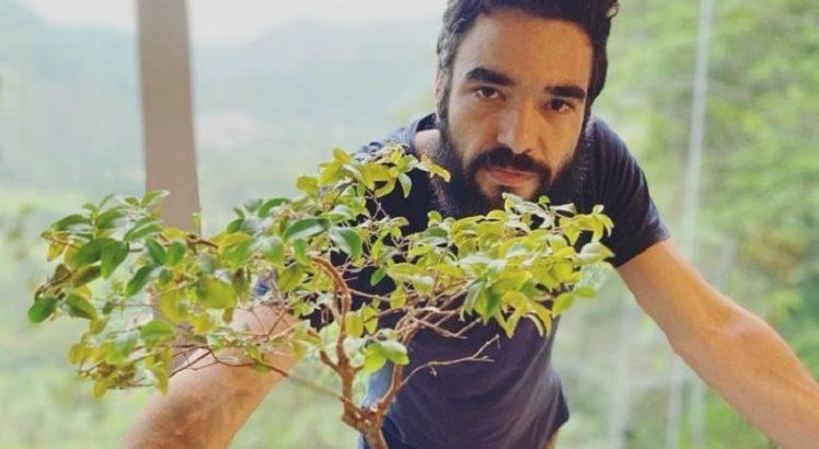 Caio Blat põe casa na árvore no Airbnb; diária custa R$ 2 mil