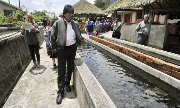 Objetivo de Morales é alcançar 80% dos votos.  / Foto: Aizar Ralde/ AFP