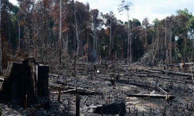 Perda florestal acumulada no período de agosto a setembro de 2014 - que corresponde aos dois primeiros meses do calendário oficial de medição do desmatamento - chegou a 838 km² / Foto: Agência Brasil