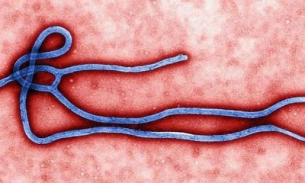 Ela foi a segunda das duas enfermeiras diagnosticadas com ebola após cuidar do liberiano Thomas Eric Duncan / Foto: AFP
