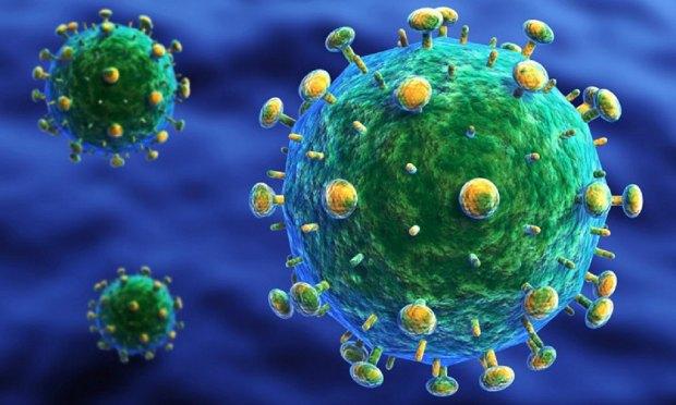 Testes feitos em 26 embriões defeituosos e inaptos a tratamentos de fertilidade permitiram criar quatro embriões imunes ao HIV / Foto: Acervo