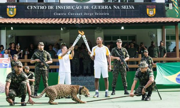 Segundo CMA, o animal teria fugido, recebido disparos de tranquilizantes, mas avançou contra um militar / Foto: Exército Militar do Amazonas/ Twitter