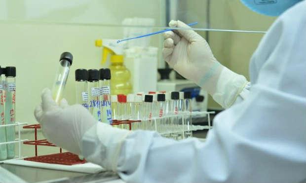 Duas vacinas se mostraram eficazes contra o vírus da zika em ratos de laboratório / Foto: Acervo