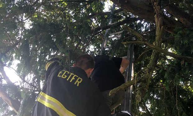Os socorristas usaram uma escada para fazer o resgate da mulher presa na árvore / Foto: East Greenwich Township Fire and Rescue/Facebook