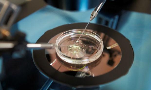 A fertilização in vitro (Fiv) não aumenta o risco de sofrer de câncer de mama, concluiu um estudo / Foto: Reprodução