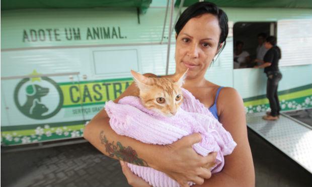 O câncer de mama é muito comum entre os pets o que levou o Castramóvel, serviço gratuito de castração de cães e gatos oferecido pela Prefeitura de Jaboatão dos Guararapes, a iniciar um atendimento especial para os animais do sexo feminino. / Foto: Divulgação