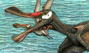 Ilustração do pterossauro feita pelo paleoartista Maurílio Oliveira