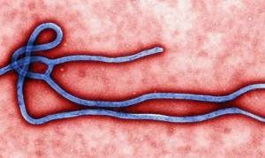Evento também abordou o vírus ebola
