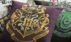 Loja terá coleção inspirada no universo Harry Potter